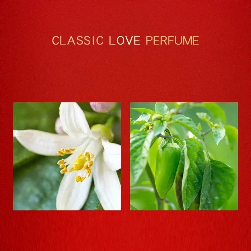 Brand Perfume Set Original Women Perfume Gift Box Fresh Lasting Fragrance Eau De Parfum Plant Floral Scent Fresh духи женские