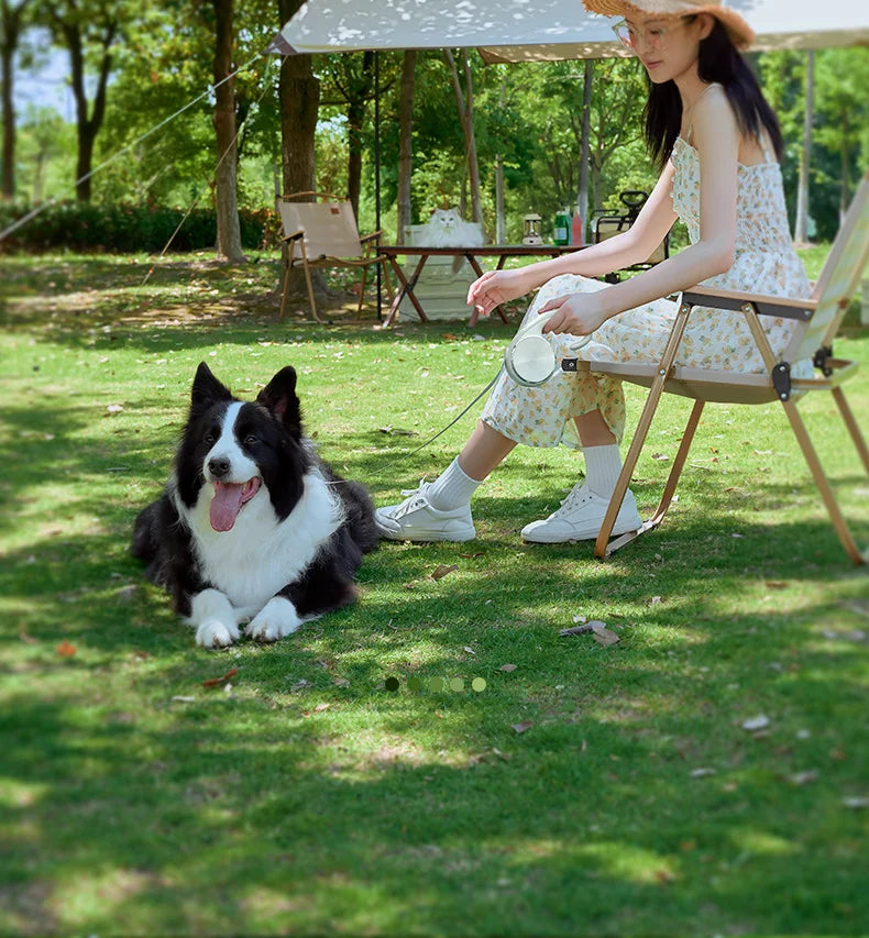 Pet Leash Automatic Telescopic Tractor Dog Supplies Pet Dog Walking