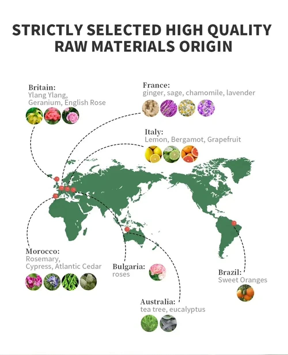 100ML Famous France Perfume Oil Men Women Fragrance Oasis Essential Oil Aromatherapy Aroma Diffuser Oil DLor Ton Foud Oud Wood