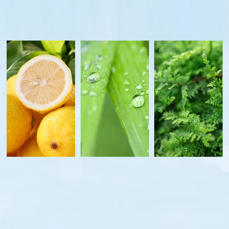 Eau De Toilette Brand Lasting Fragrance Holiday Lazy Floral Fragrance Fresh Vitality Ocean Cologne Charm Unisex Perfume Spray