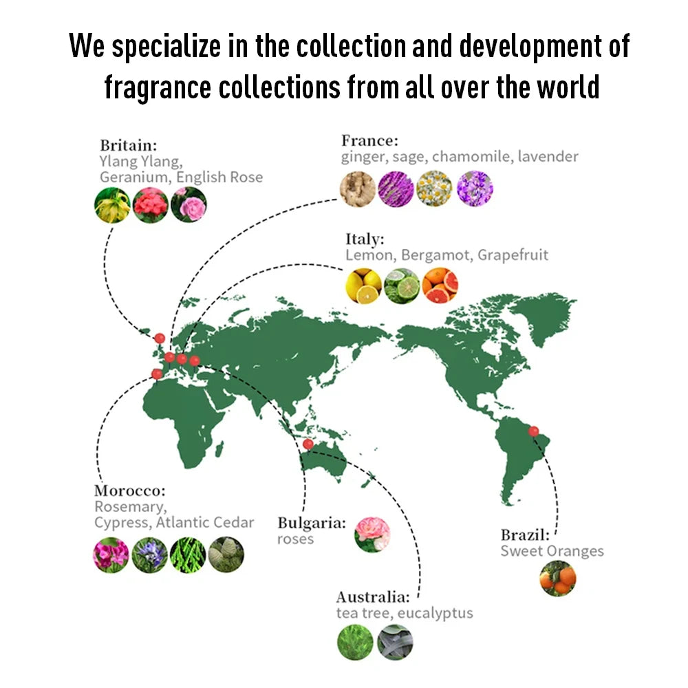 Hotel Perfume Top Selling Essential Oil 300ml Home Scent air Freshener For Aroma Diffuser Machine Pure Plant Extrat Fragrance