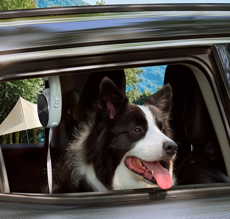 Pet Leash Automatic Telescopic Tractor Dog Supplies Pet Dog Walking