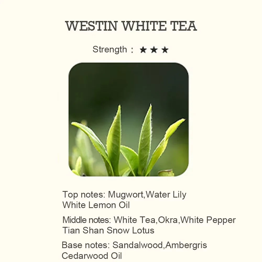 500ml Essential Oil Perfume Fragrance Neroli Helichrysum Copaiba Turmeric Spearmint Anise Star 2023 New Aroma Oil Diffuser Oil