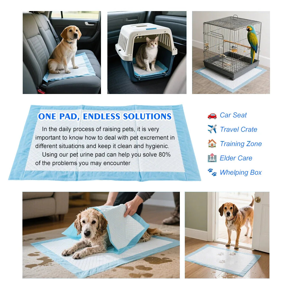 Pet urine pad, disposable absorbent pad, non-woven fabric + absorbent resin, super absorbent, 4 sizes, pet hygiene products