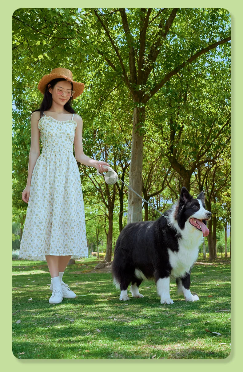 Pet Leash Automatic Telescopic Tractor Dog Supplies Pet Dog Walking