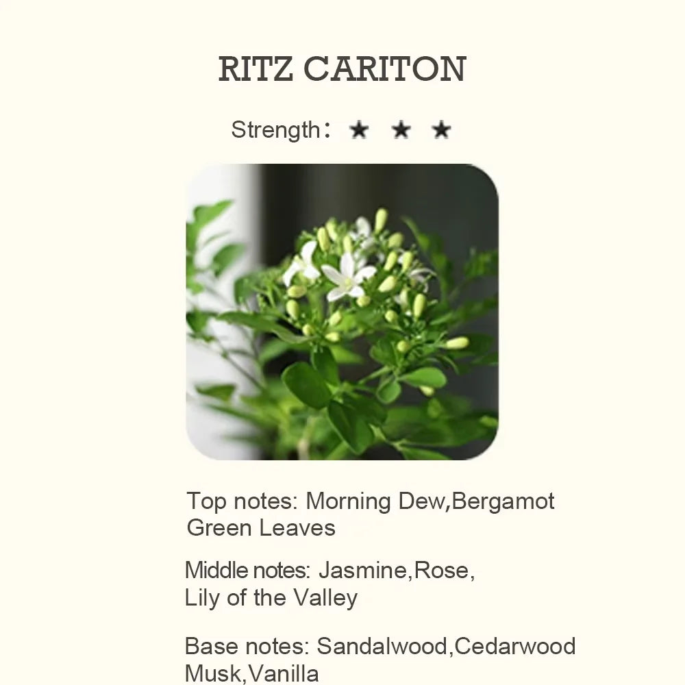 500ml Essential Oil Perfume Fragrance Neroli Helichrysum Copaiba Turmeric Spearmint Anise Star 2023 New Aroma Oil Diffuser Oil